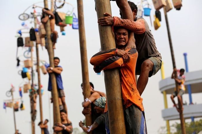 Dianggap Warisan Belanda, Wali Kota Langsa Larang Lomba Panjat Pinang